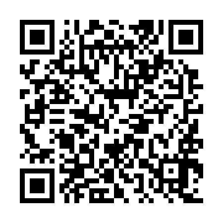 QR code for DET397