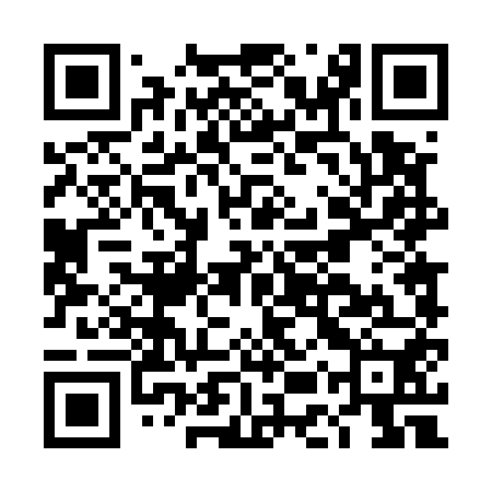 QR code for DET550