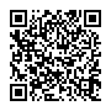QR code for DET919