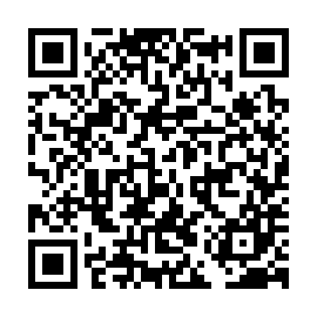 QR code for DEW387