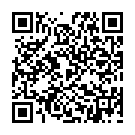 QR code for DEX315