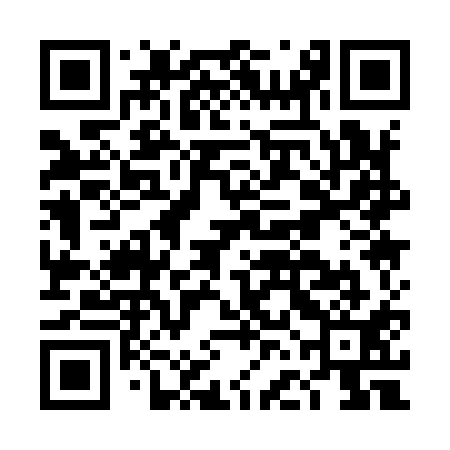 QR code for DFA911