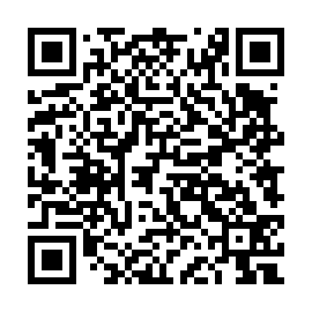 QR code for DFD433