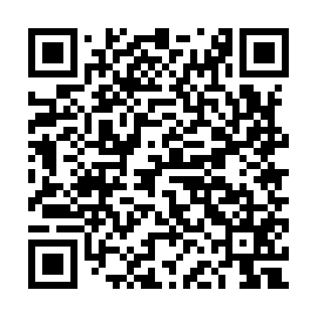 QR code for DFE955