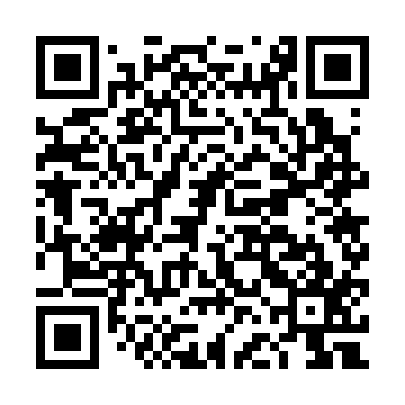QR code for DFG317