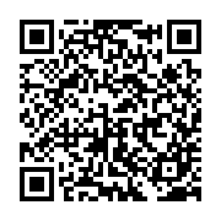 QR code for DFG387