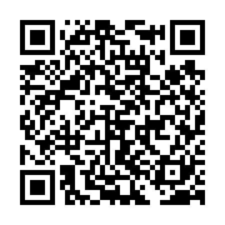 QR code for DFG621