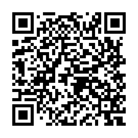 QR code for DFG955