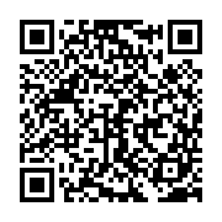 QR code for DFI040
