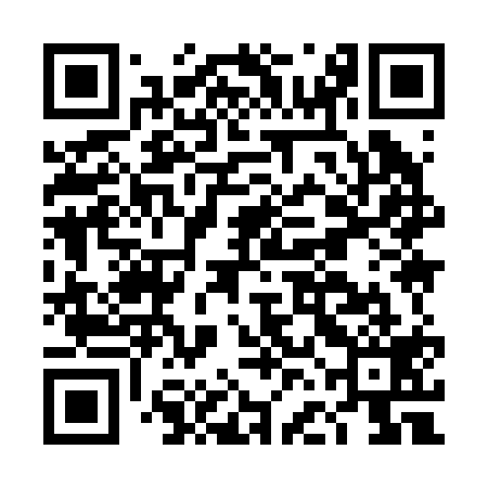 QR code for DFI219