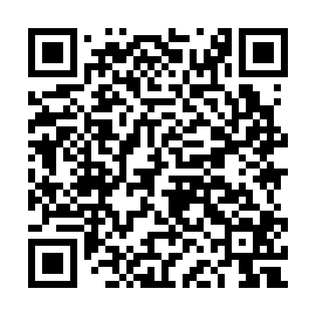 QR code for DFI304