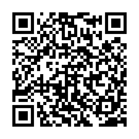 QR code for DFI595