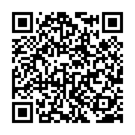 QR code for DFL029