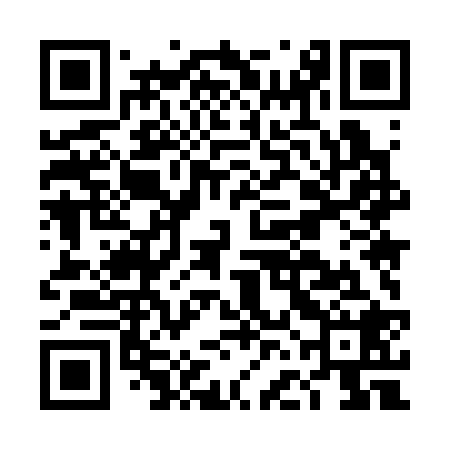QR code for DFM328