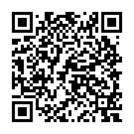 QR code for DFM390