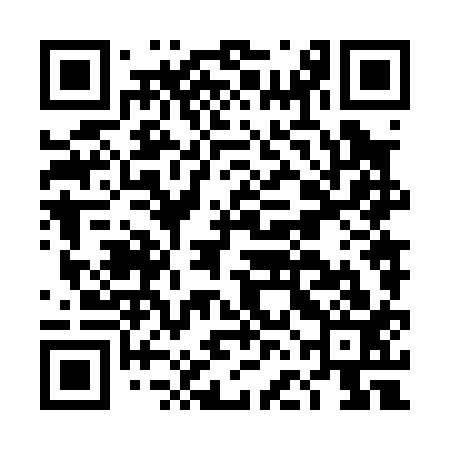 QR code for DFN013