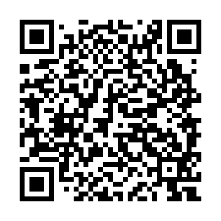 QR code for DFN393