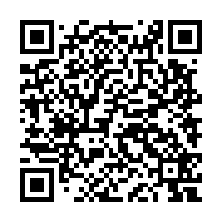 QR code for DFN529