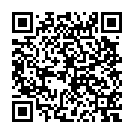 QR code for DFS010