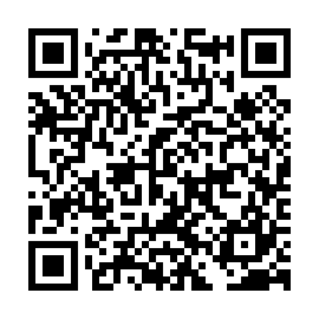 QR code for DFS027