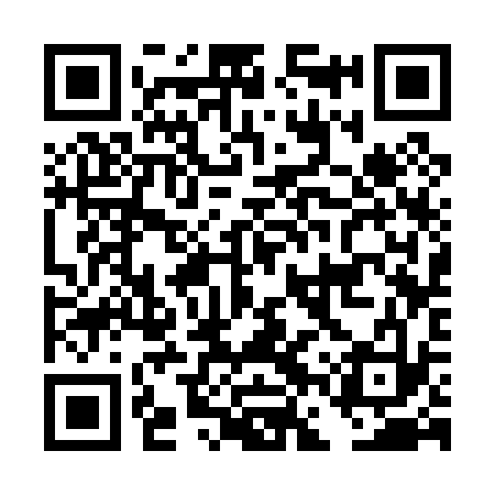QR code for DFS033