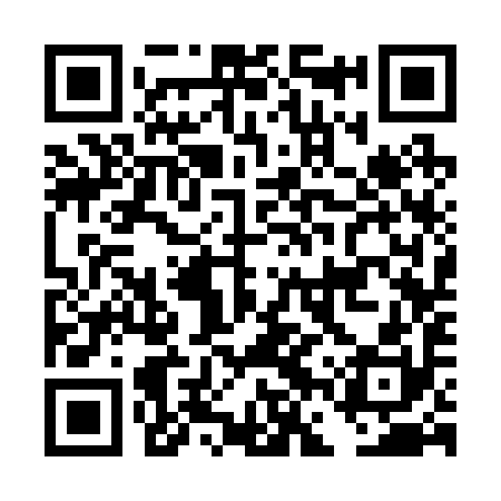 QR code for DFS290