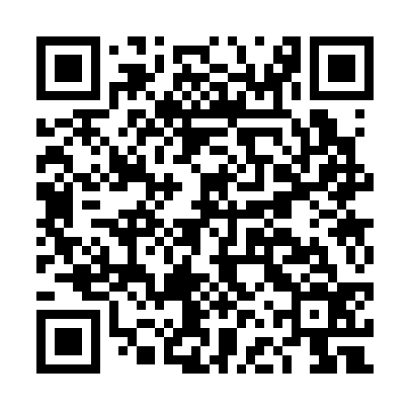 QR code for DFS336