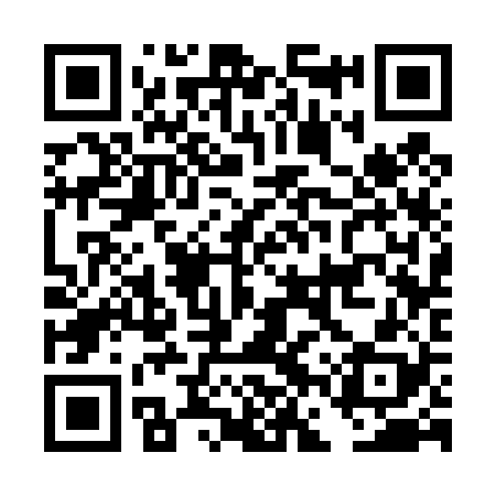 QR code for DFS428