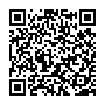 QR code for DFS698