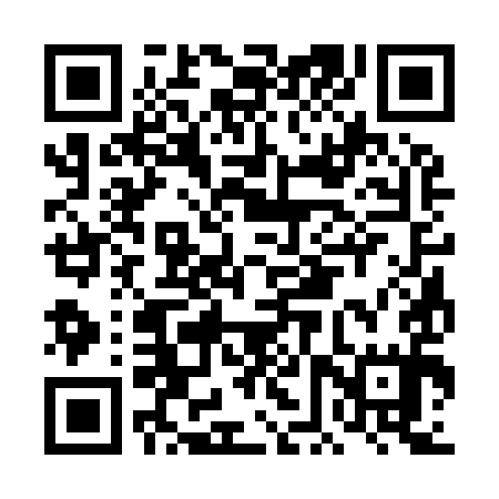 QR code for DFS995