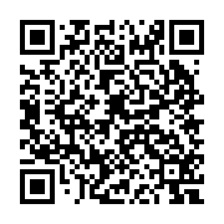 QR code for DFU216