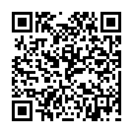 QR code for DFV386