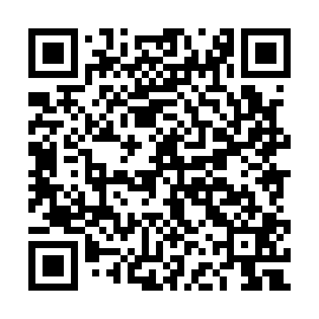 QR code for DFX101