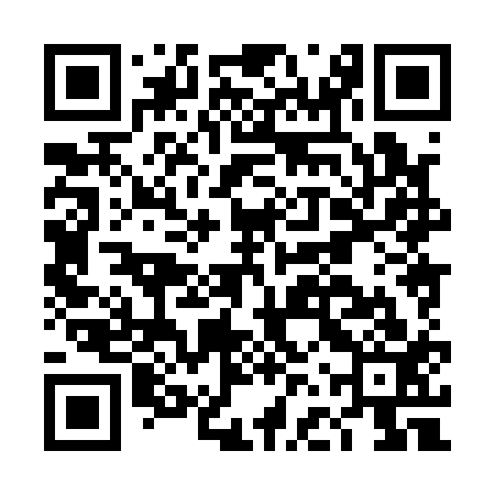 QR code for DFX113