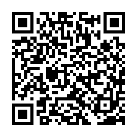 QR code for DFX313