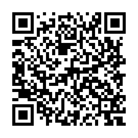 QR code for DFX913
