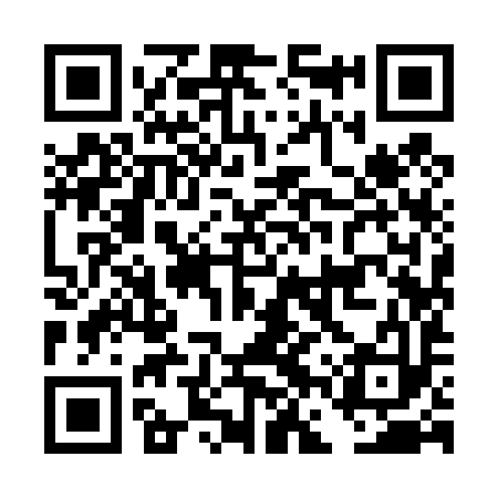 QR code for DFY493