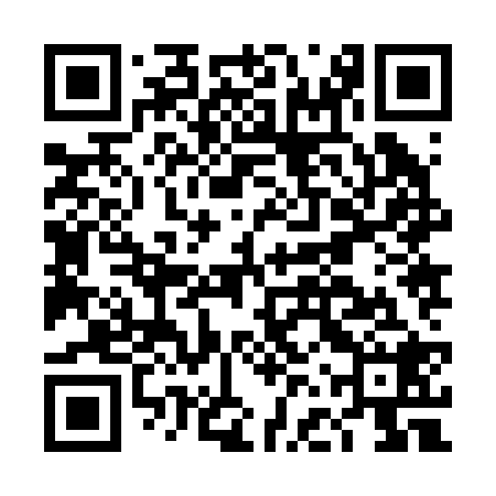 QR code for DFZ228