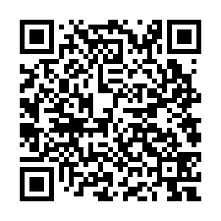 QR code for DGF339