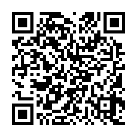 QR code for DGM338