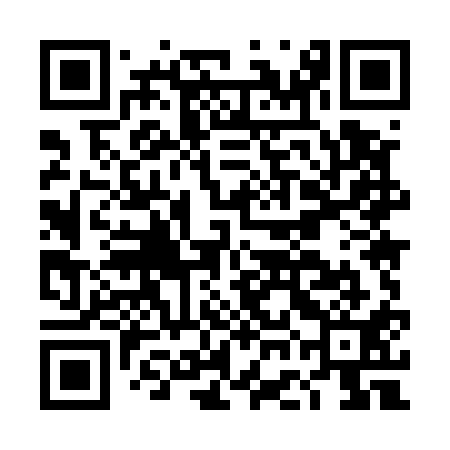 QR code for DGM511