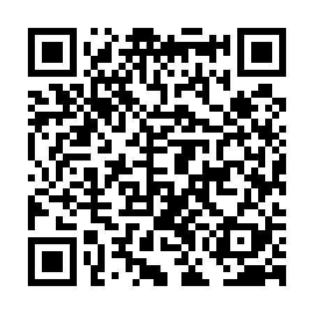QR code for DGM529