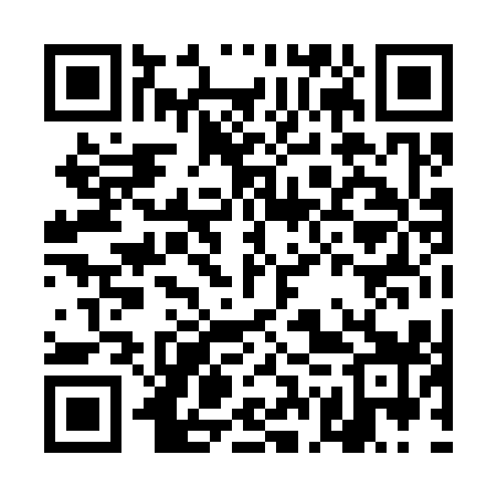 QR code for DGP319