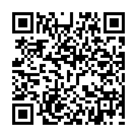 QR code for DGQ493