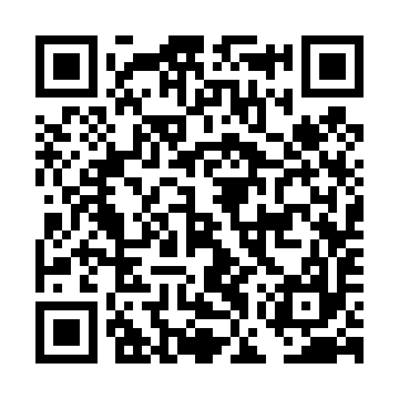 QR code for DGS497