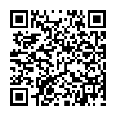 QR code for DGU333