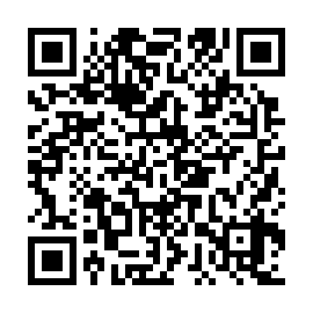 QR code for DGZ338