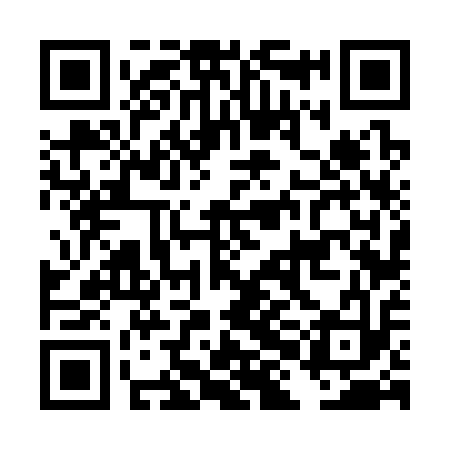 QR code for DHF313