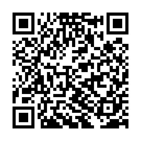 QR code for DHG500