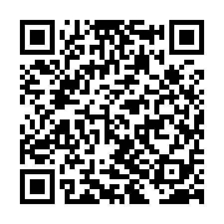 QR code for DHI919